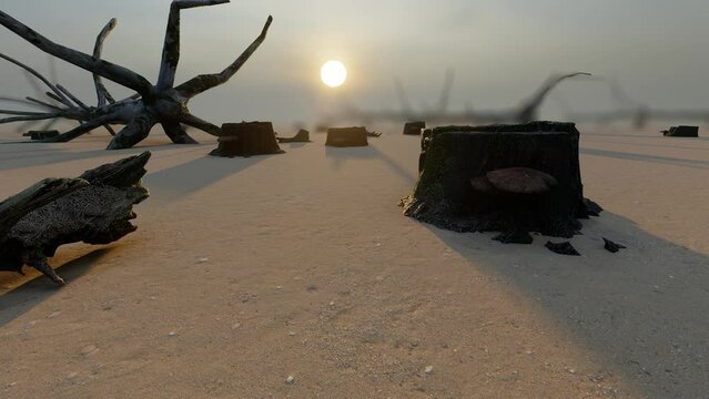 Vegetation destruction exacerbates desertification