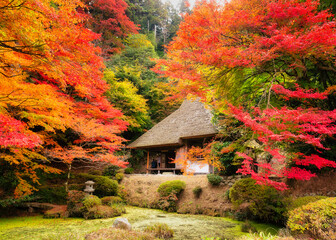 秋の吉水園(秋の一般公開)
