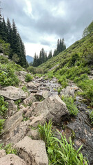 Fototapeta na wymiar rocky mountain landscape with trees, rocks and a mountain river