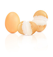 Chicken eggs. Cracked egg shells on a white background.