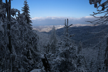 The first snow in the Beskids