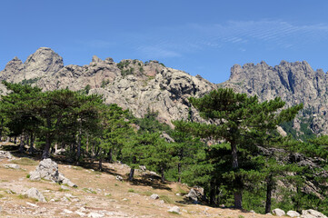 Bavella pass in Corsica mountain