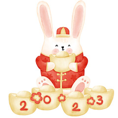 Chinese rabbit new year illustration