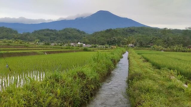 natural landscape photos of mountain views and green rice fields flowing with small rivers. relax video clips