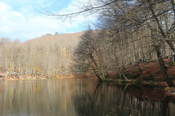 Fototapeta premium Colors of Autumn, Yedigöller National Park Bolu Turkey