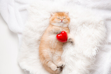 cute ginger kitten sleeps with a red heart on a fur blanket on his back
