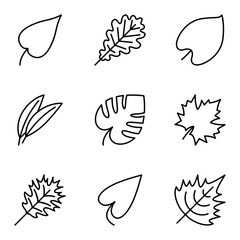 Simple line set of leaf icons. Isolated on white background.