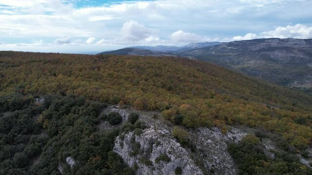 Baou Mourine forest seen from a drone