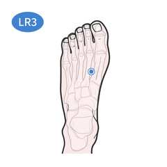 태충 경혈 혈자리 일러스트
