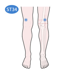 양구 경혈 혈자리 일러스트
