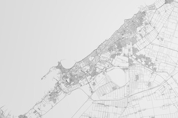 Map of the streets of Alexandria (Egypt) on white background. 3d render, illustration