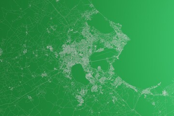 Map of the streets of Tunis (Tunisia) made with white lines on green paper. Rough background. 3d render, illustration