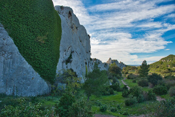 Landschaft in den Alpilles ind er Provence
