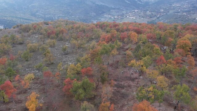 Autumn valley of Baou Mourine seen from the sky