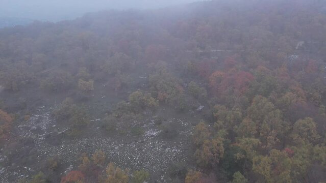 Autumn mist in the morning on the Baou Mourine forest, drone view