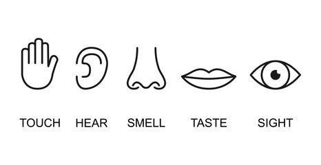 Outline icon set of five human senses: vision eye smell nose hearing ear touch hand taste mouth with tongue