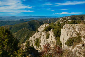 Fototapeta na wymiar Foret des Cedres im Luberin in der Provence