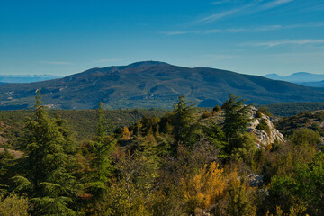 Foret des Cedres im Luberin in der Provence