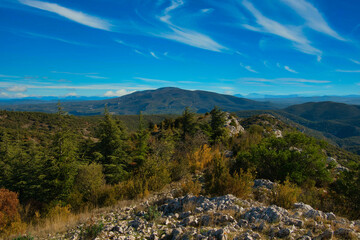 Foret des Cedres im Luberin in der Provence