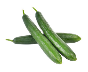 fresh cucumbers isolated on transparent png