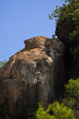 a leopard on a huge boulder
