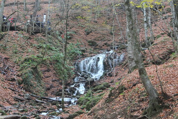 Colors of Autumn, Yedigöller National Park Bolu Turkey