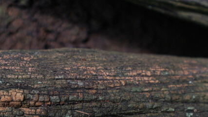 natural old wood grain background
