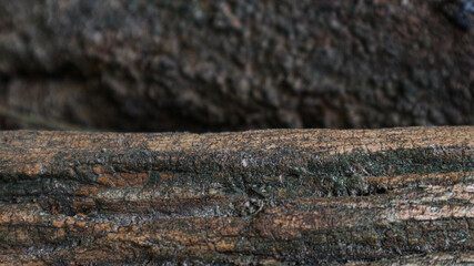 natural old wood grain background
