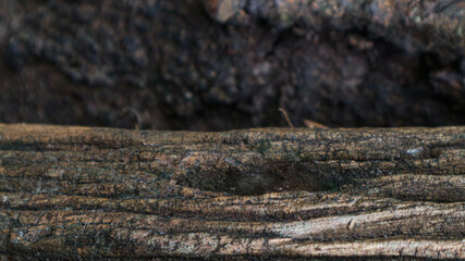 natural old wood grain background