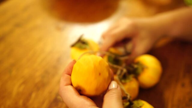 Woman hands preparing fresh persimmon fruit for drying, lined up on a rope. Row of Hanging Japanese dried Persimmon - Hoshigaki on strings to preserved it in autumn season. Selective focus