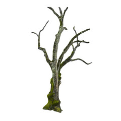 Isolated PNG cutout of a tree trunk on a transparent background © NomadPhotoReference