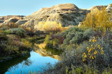 View of the fall reflections in a river in the badlands of Alberta on a bright fall day.