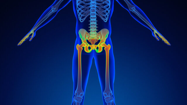 painful pelvic girdle medical background