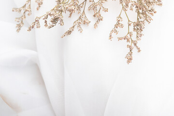 Dried flowers on white background for banner