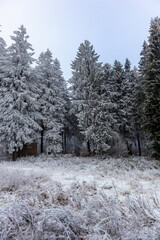 Erste kleine Winterwanderung auf dem Rennsteig bei Floh-Seligenthal - Thüringen - Deutschland