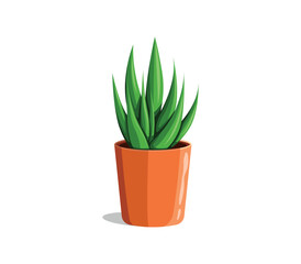 Aloe in a pot. Houseplant for home or office decor