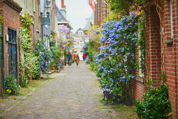 Beautiful street decorated with flowers in the town of Alkmaar, Netherlands
