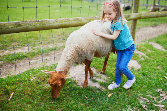 Adorable little girl playing with goats and sheep at farm