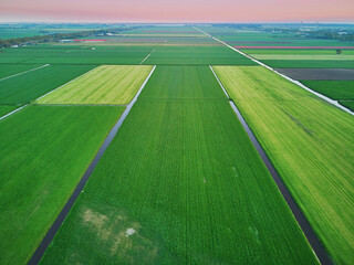 Aerial drone view of typical Dutch fields and polders - obrazy, fototapety, plakaty