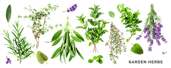 Fresh garden herbs set. PNG with transparent background. Flat lay. Without shadow. - obrazy, fototapety, plakaty