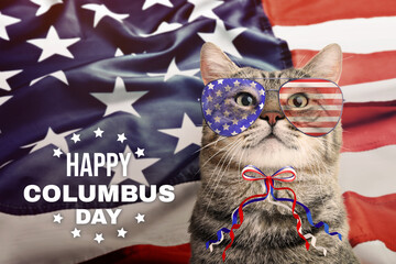 Happy Columbus Day. Cute cat with sunglasses and bow and American flag on background