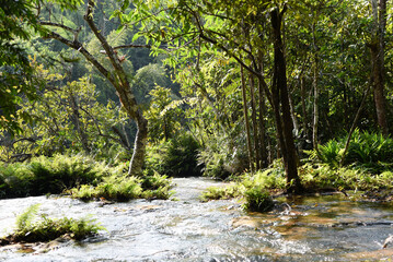 Wildbäche am Ufer des River Kwai, Thailand