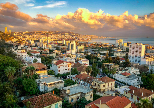 Alger