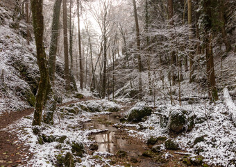 winterliche Johannesbachklamm bei Würflach in Niederösterreich