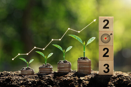 Seedlings are growing on the Coins stack with cubes with text 2023 .business growth, profit, and succeed Development to achieve the 2023 target.Strategic planning coupled with environmental protection