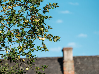 old countryside building architecture details