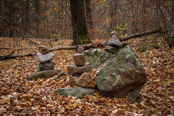 rocks in the forest