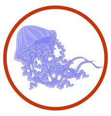 jellyfish on ban