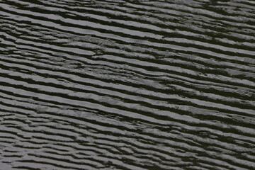 Water ripples