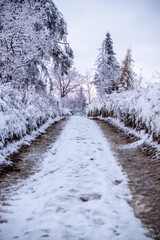 ŁAPSZANKA- POLSKA, TATRY POLSKIE, PODHALE, SPISZ, ZIMOWY KRAJOBRAZ